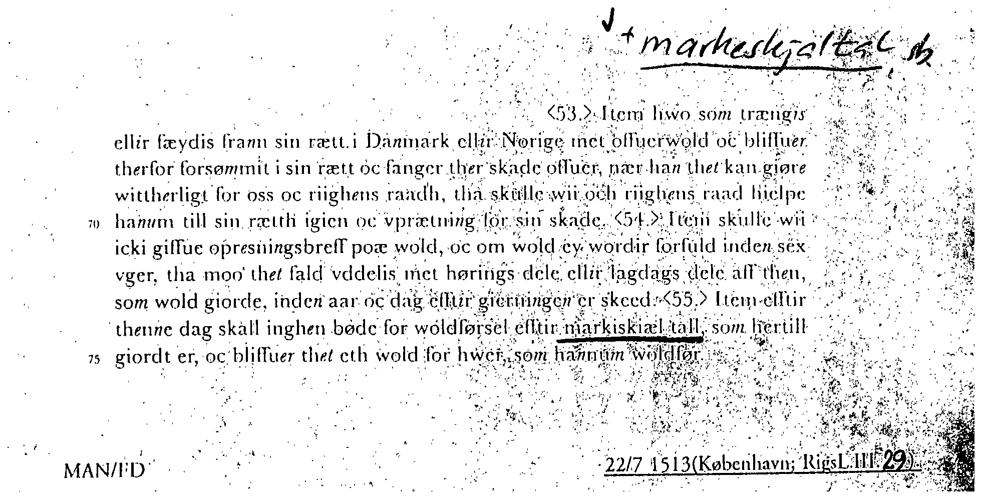 Billede af dagens seddel her